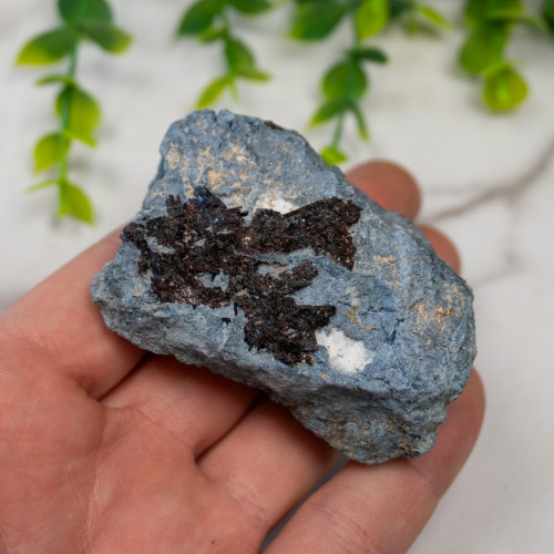 Neptunite on Natrolite #1