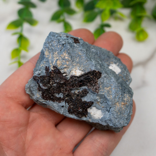 Neptunite on Natrolite #1