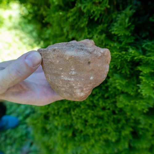 Small Stromatolite