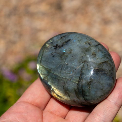 Labradorite XL Palmstone #13