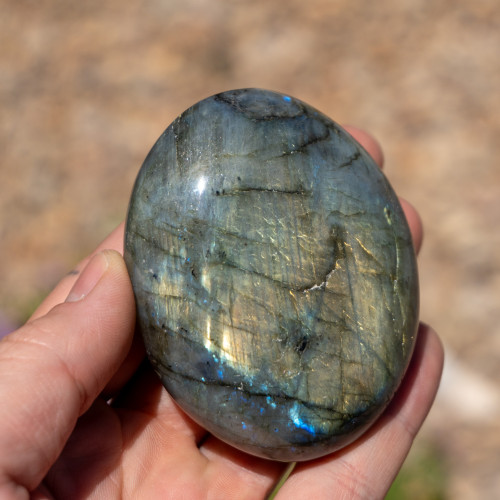 Labradorite XL Palmstone #13