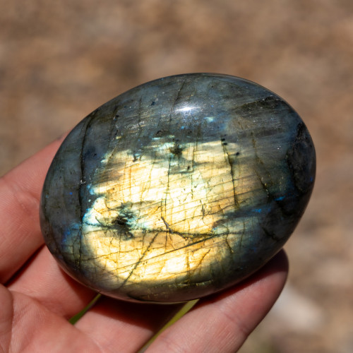 Labradorite XL Palmstone #13