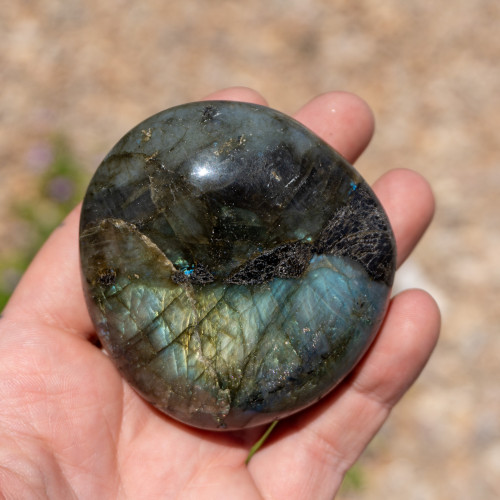 Labradorite XL Palmstone #11