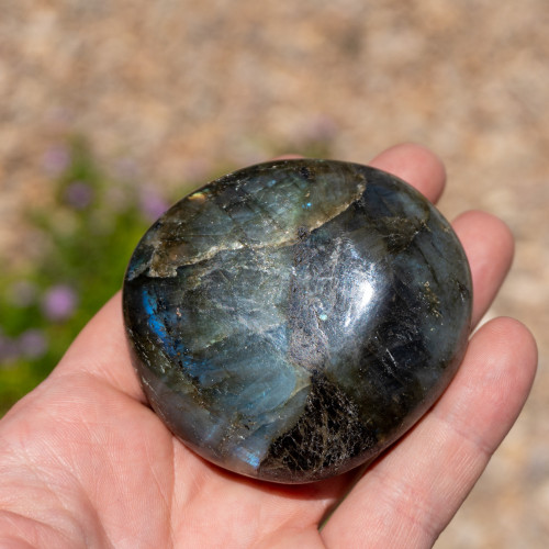 Labradorite XL Palmstone #11
