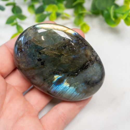 Labradorite XL Palmstone #1