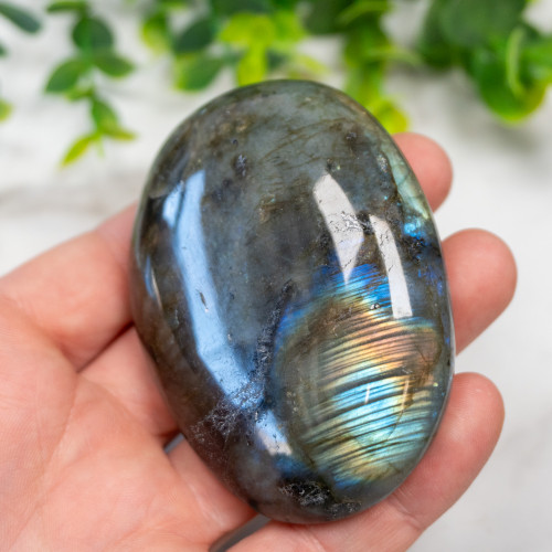 Labradorite XL Palmstone #1