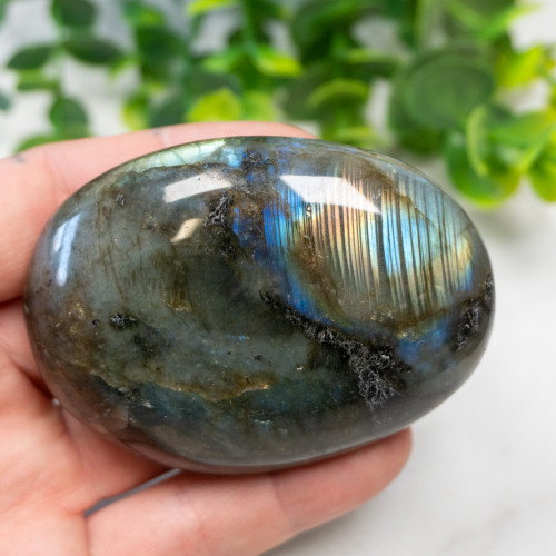 Labradorite XL Palmstone #1