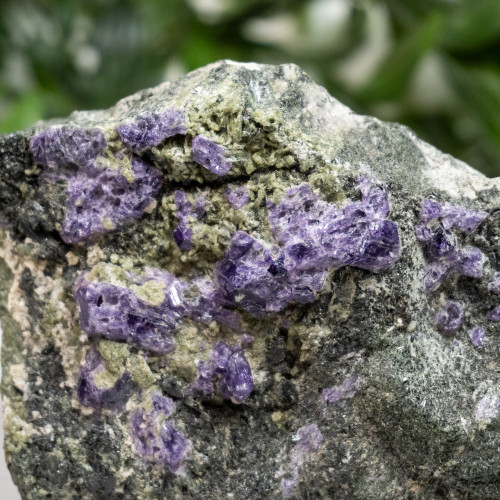 Purple Scapolite on Diopside and Epidote #1