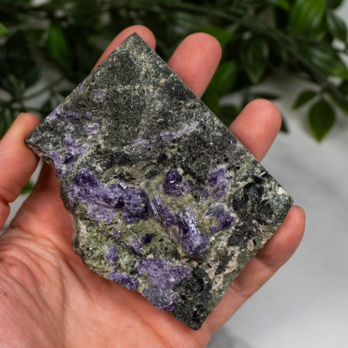 Purple Scapolite on Diopside and Epidote #1