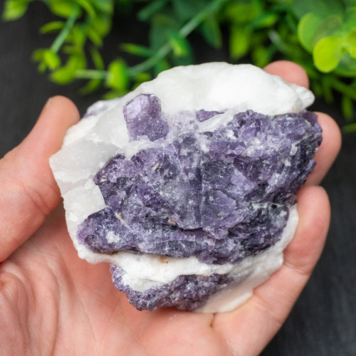 Purple Scapolite #1