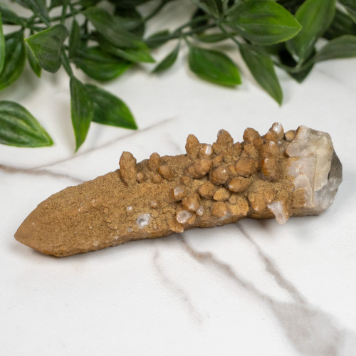 Skeletal Quartz #5