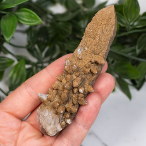 Skeletal Quartz #5