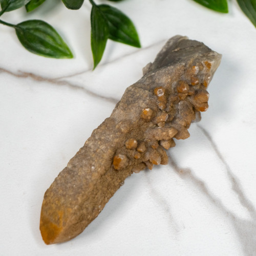 Skeletal Quartz #5