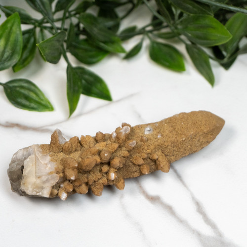 Skeletal Quartz #5