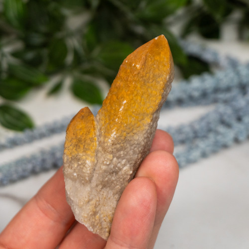 Skeletal Quartz #1