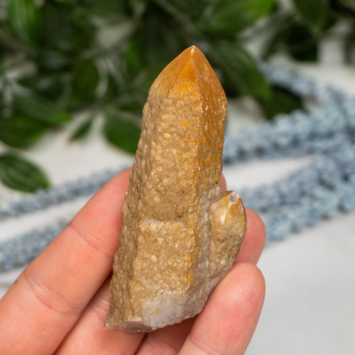 Skeletal Quartz #1