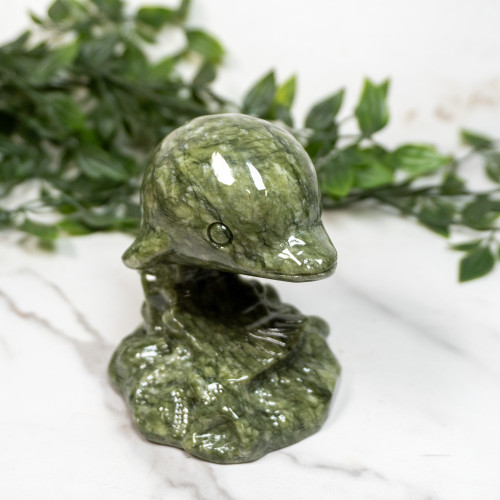 Jade Dolphin