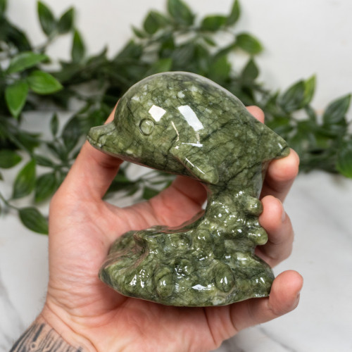 Jade Dolphin