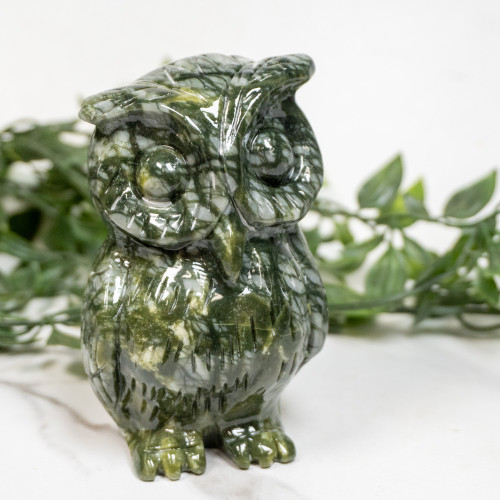 Jade Owl