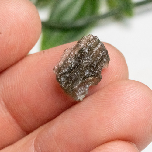 Moldavite #12