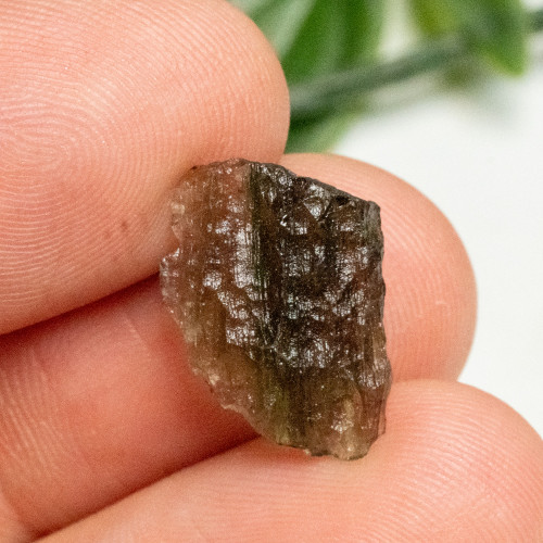 Moldavite #11
