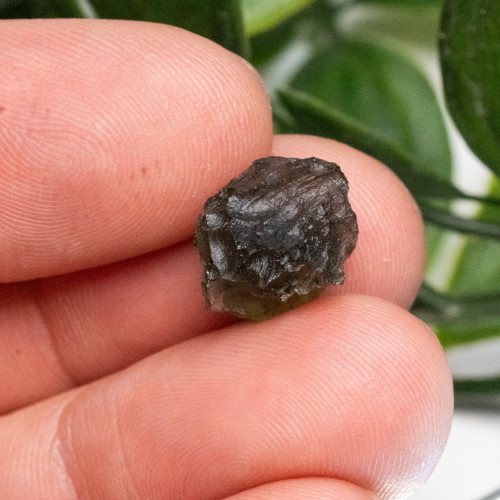 Moldavite #9