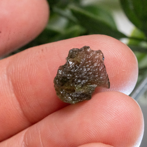 Moldavite #5