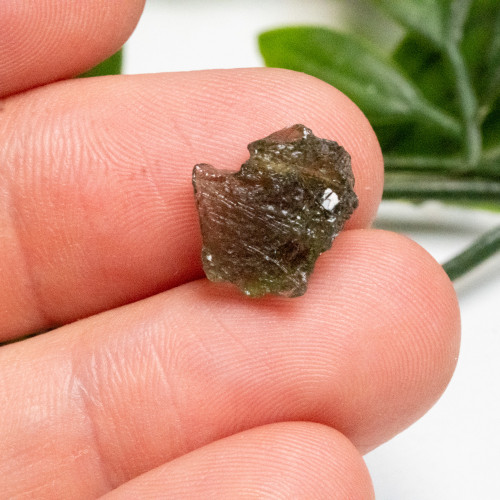 Moldavite #5