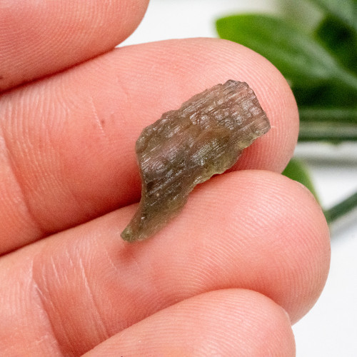 Moldavite #4
