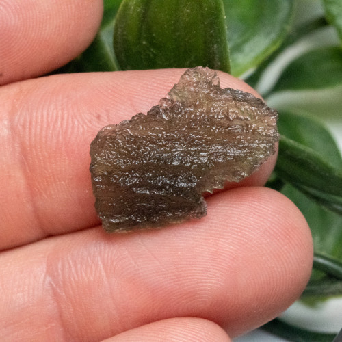 Moldavite #1