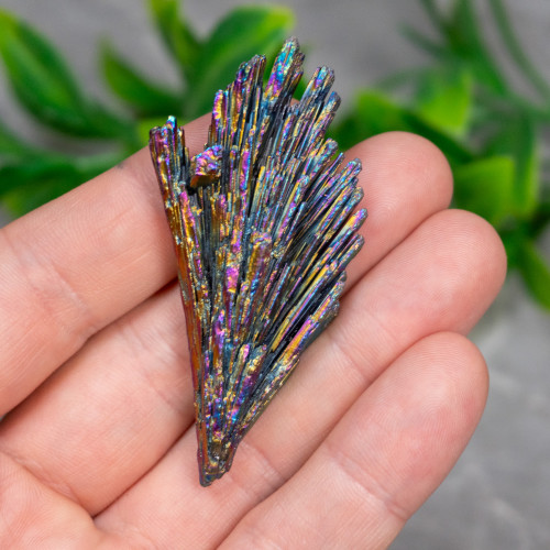 Titanium Black Kyanite #4