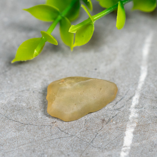 Libyan Desert Glass #8