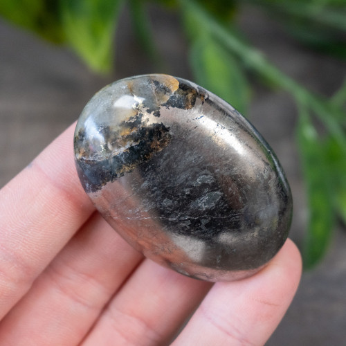 Lion's Gate Quartz Palmstone #11