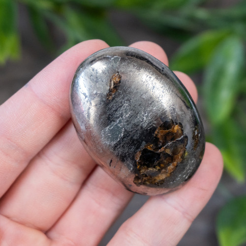 Lion's Gate Quartz Palmstone #11