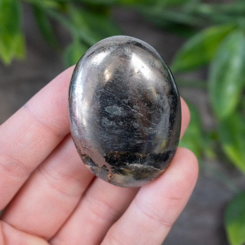 Lion's Gate Quartz Palmstone #11