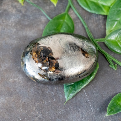 Lion's Gate Quartz Palmstone #11