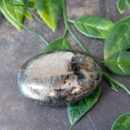 Lion's Gate Quartz Palmstone #10