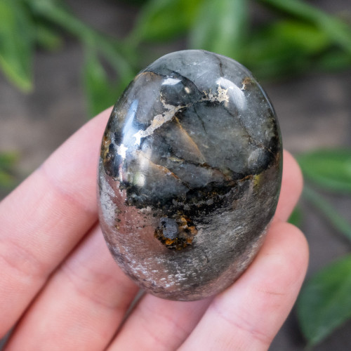 Lion's Gate Quartz Palmstone #10