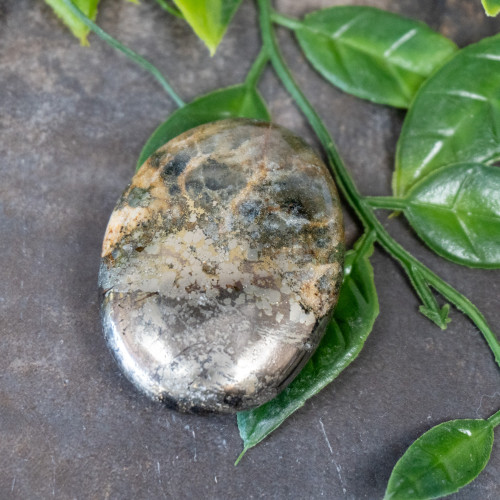 Lion's Gate Quartz Palmstone #9