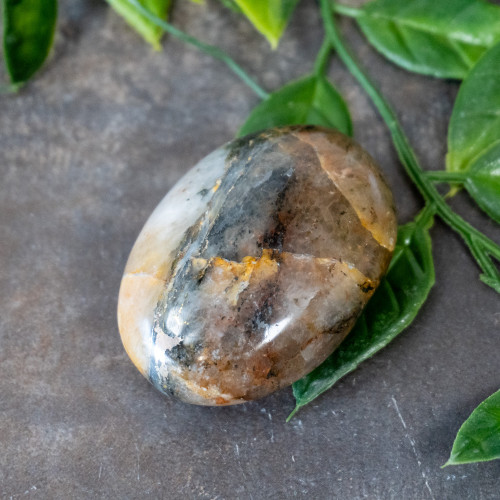 Lion's Gate Quartz Palmstone #7