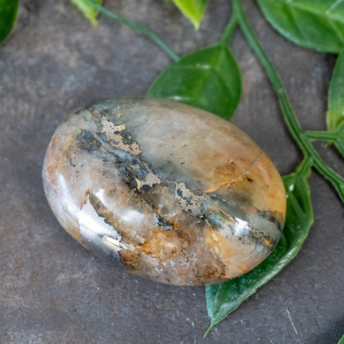Lion's Gate Quartz Palmstone #7
