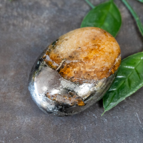 Lion's Gate Quartz Palmstone #6