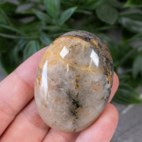 Lion's Gate Quartz Palmstone #5