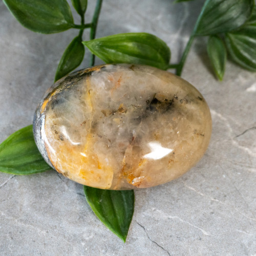 Lion's Gate Quartz Palmstone #5