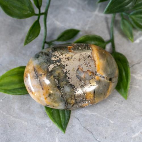 Lion's Gate Quartz Palmstone #4