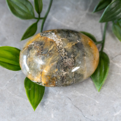 Lion's Gate Quartz Palmstone #3