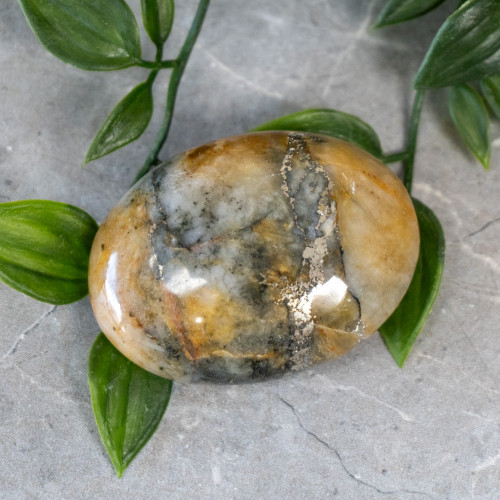 Lion's Gate Quartz Palmstone #3