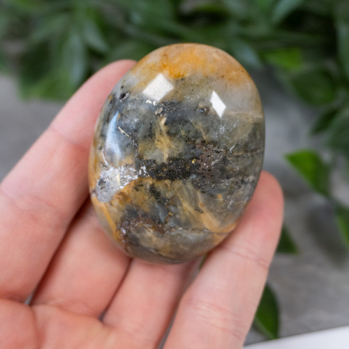 Lion's Gate Quartz Palmstone #3