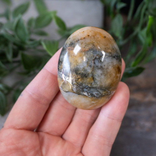 Lion's Gate Quartz Palmstone #3