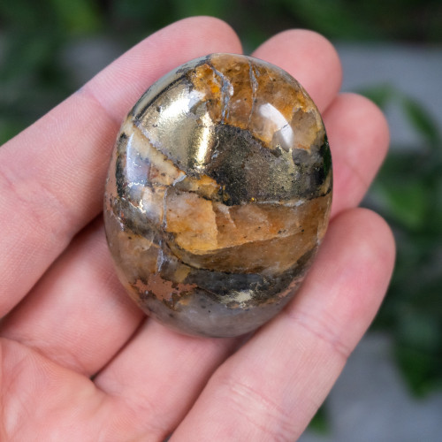 Lion's Gate Quartz Palmstone #2